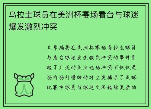 乌拉圭球员在美洲杯赛场看台与球迷爆发激烈冲突