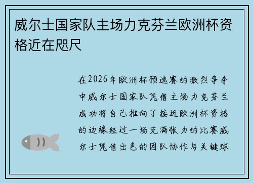 威尔士国家队主场力克芬兰欧洲杯资格近在咫尺